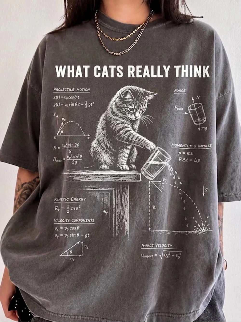 Comfort Colors Cat with Physics Themed Graphic Tee in Pepper